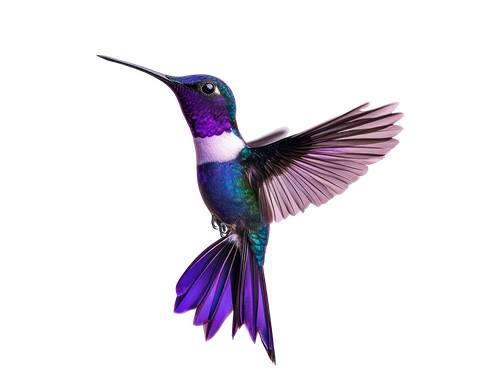 At T&T Consulting, our recruitment policy is based on human values, a commitment to excellence and the the belief that the diverse nature of our workf image