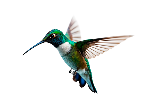 Chez T&T Consulting, notre politique de recrutement repose sur des valeurs humaines, un engagement envers l'excellence, et la conviction que la divers image